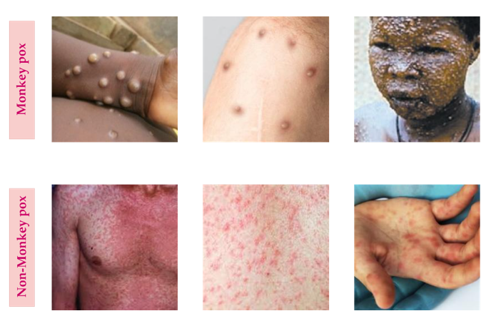Some Sample Images from The Dataset